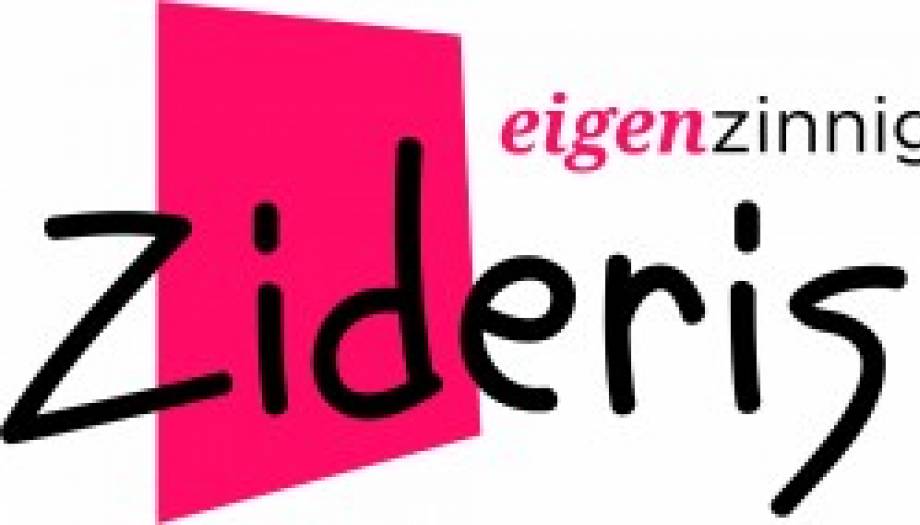 Logo Zilderis